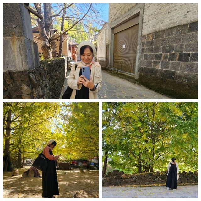 New destination for yellow leaves @ Tengchong, China
