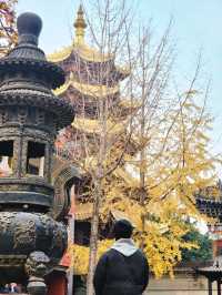 ✨Baolun temple Chongqing
