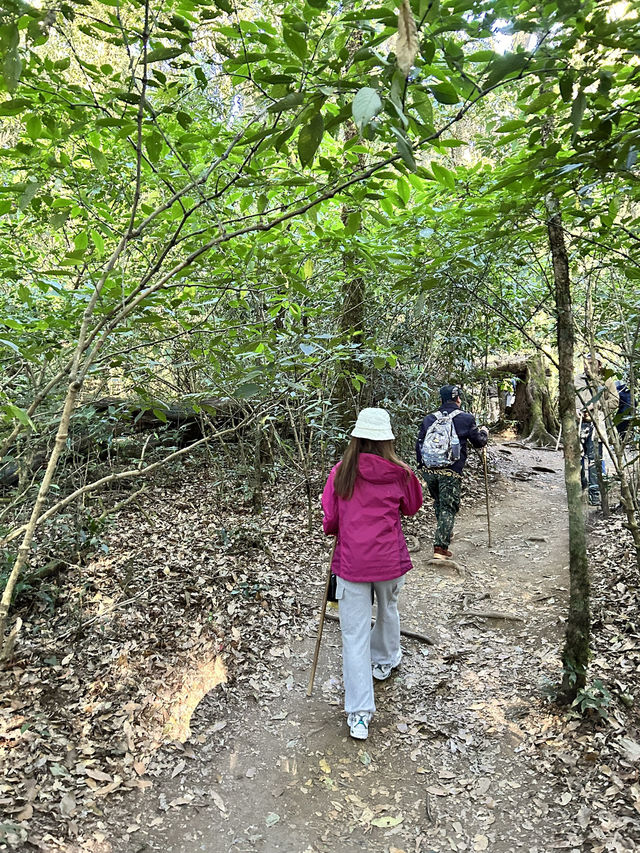 เส้นทางศึกษาธรรมชาติ กิ่วแม่ปาน🏔️🥶