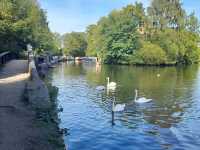  Rickmansworth Aquadrome