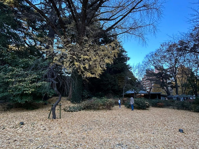 喜歡自在慢遊的夥伴，相信會喜歡「東京庭園美術園」