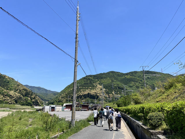 日本京都嵐山火車體驗，🚞出發～