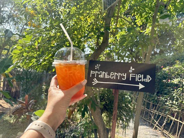 เที่ยวคาเฟ่ในสวนดอกไม้ mood ดีมาก 🌻🌼✨