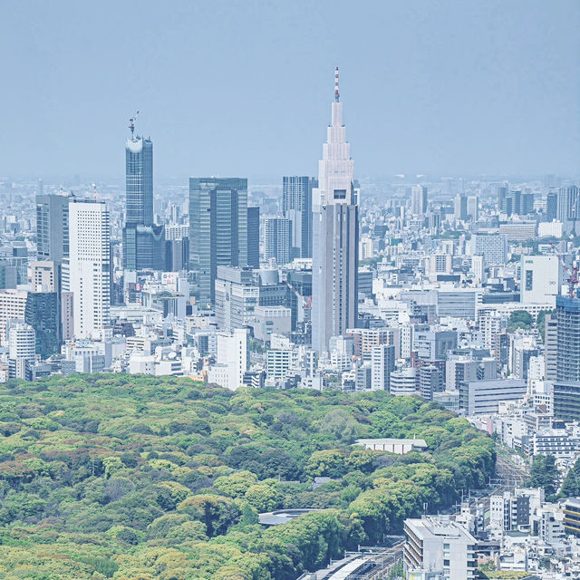 【東京】圧巻の絶景！SHIBUYA SKYで東京を一望 🌆✨