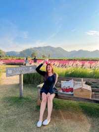 Audrey Hobby Farm 