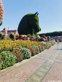 Dubai Miracle Garden