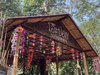 ตลาดโอ๊ะป่อย ราชบุรี 🌳