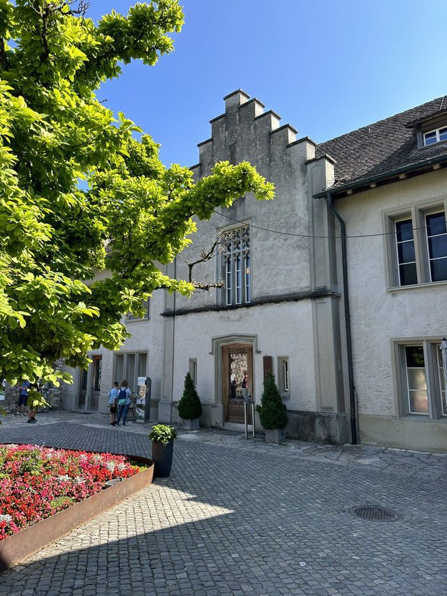 Historical castle in Rheinfall