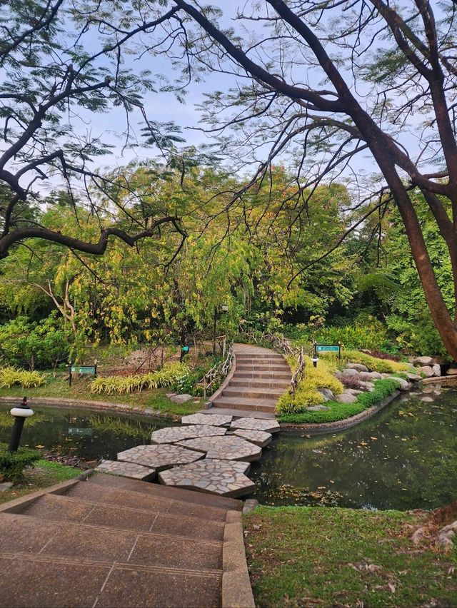เดินเล่น ถ่ายรูป เดท ในบรรยากาศธรรมชาติกลางกรุง