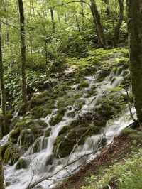 Exploring the Magic of Plitvice National Park