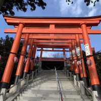 可以求財跟餵烏骨雞的高屋敷稻荷神社😂