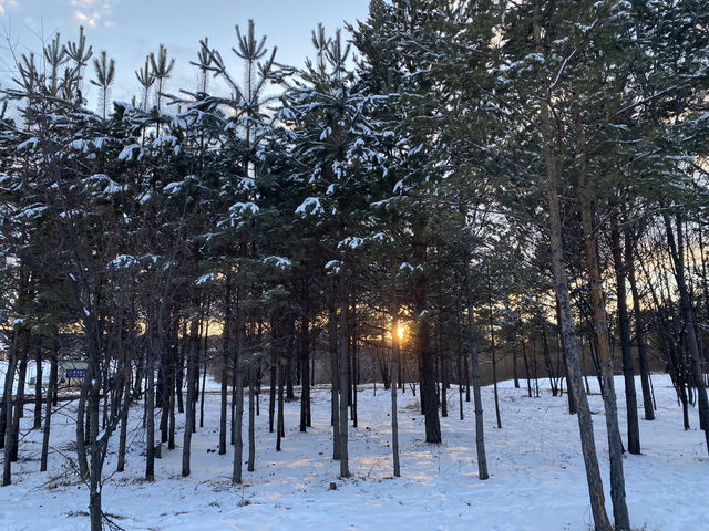 🇨🇳中國最北-漠河❄️