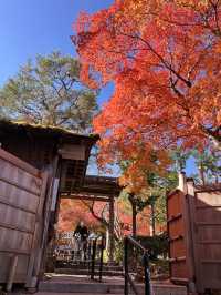 A Symphony of Colors – The Lonely Souls in the Adashino Nenbutsu-ji Temple