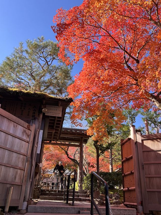 A Symphony of Colors – The Lonely Souls in the Adashino Nenbutsu-ji Temple