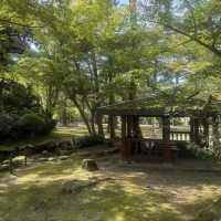 長居公園-都市裡的一片清新綠洲