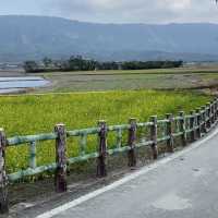 冬日田野漫遊-靜謐又美的旅程