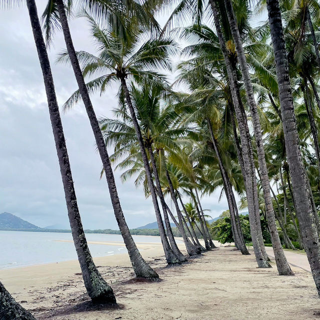 【オーストラリア】静かな楽園！癒しのビーチリゾート・パームコーブ 🏝️🌿