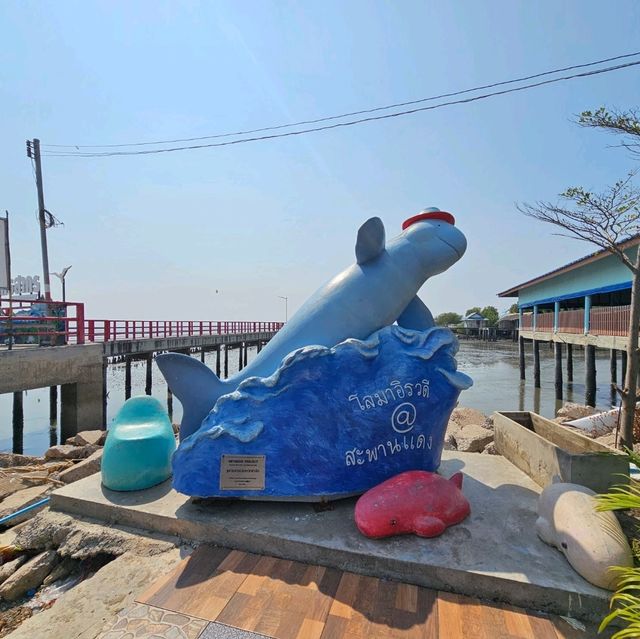 สะพานแดง จุดชมวิวปลาโลมา
