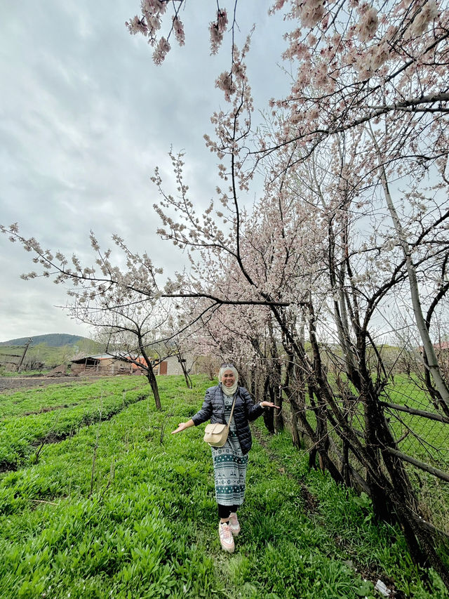 Experience Travel like a Local in Kyrgyzstan 😍