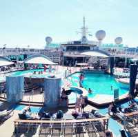 Voyager of the Seas: A Floating Wonderland