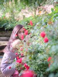 พาไปชมสวนกุหลาบหลวง 🌹ที่เชียงใหม่