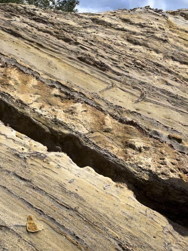 “Lambir Hills: Unraveling the Geological Tapestry of Sarawak’s Sandstone Legacy”