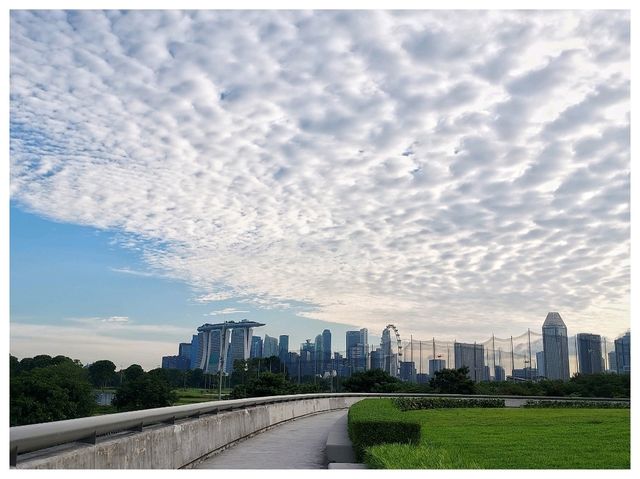 Singapore : Forest & City
