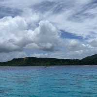 「自然の宝庫、西表島の魅力を探る」✨