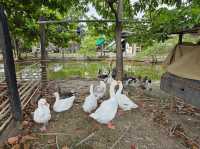 Get Growing Community Farm