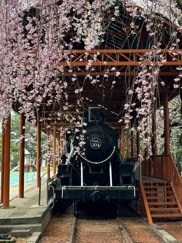 삼무공원 티켓 할인, 운영 시간, 후기 [2025년] | Trip.com
