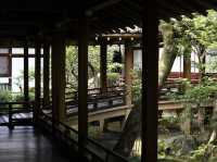 Eikando Temple: Kyoto’s Autumn Wonderland