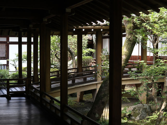 Eikando Temple: Kyoto’s Autumn Wonderland