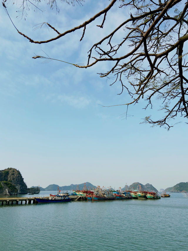 Discover a tranquil beauty of Cat Co 3 beach 🏝️ 
