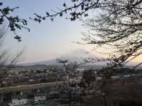 Chureito Pagoda จุดชมซากุระสุดปัง พร้อมวิวฟูจิ