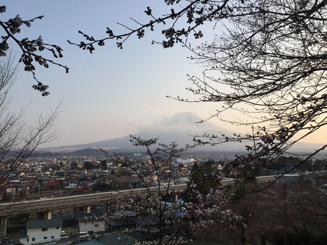 Chureito Pagoda จุดชมซากุระสุดปัง พร้อมวิวฟูจิ