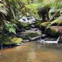 Great Otway National Park