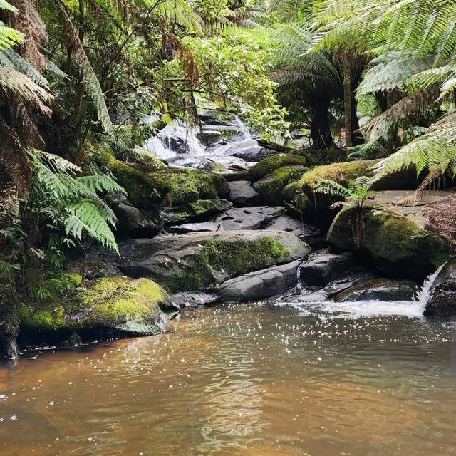 Great Otway National Park