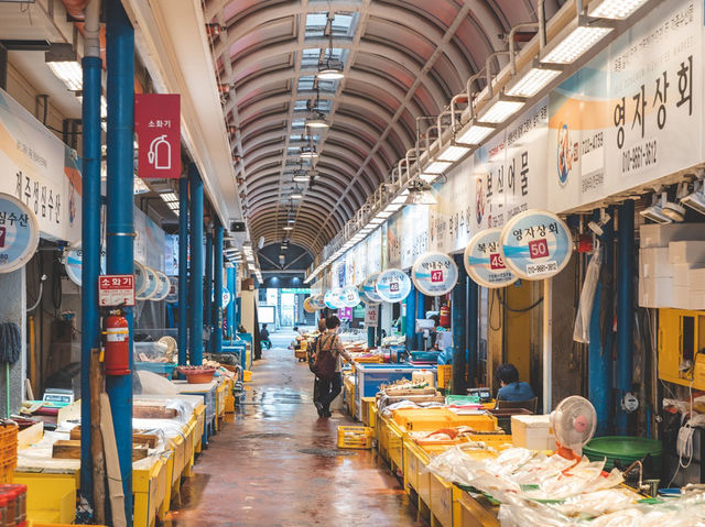 濟州東門市場之旅