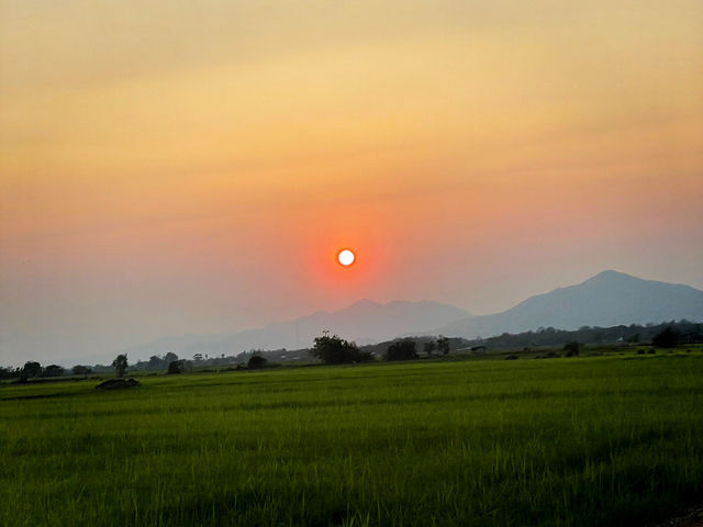ชมพระอาทิตย์ตกกลางทุ่งนาเขียวขจี ที่บ้านน้ำชำ แพร่