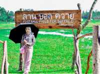 ลานบอลควาย - เกาะกลาง กระบี่