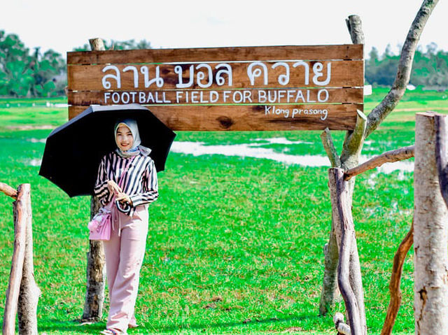 ลานบอลควาย - เกาะกลาง กระบี่