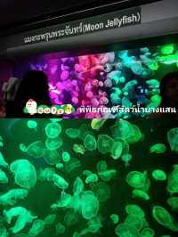 พิกัดเที่ยวบางแสน แค่ปากซอย