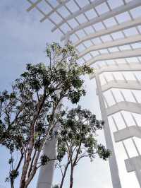 พาไปพัก Arbour โรงแรมวิวดาดฟ้าใจกลางเมืองพัทยา
