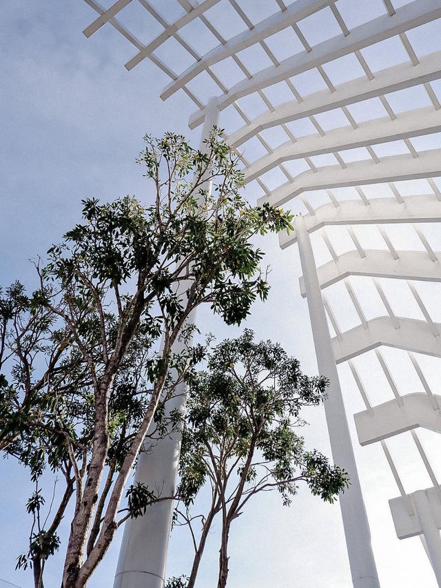 พาไปพัก Arbour โรงแรมวิวดาดฟ้าใจกลางเมืองพัทยา