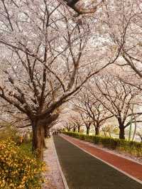 A Riverside Paradise Perfect for Spring!