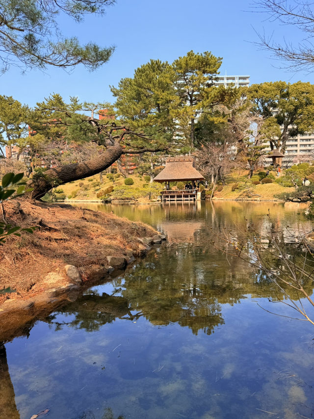 廣島｜泉水屋敷到縮景園 經過原爆悲劇後重現400年前庭園