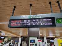 東京から1泊2日で楽しむ！水上温泉旅行の魅力と「MICASA」宿泊体験