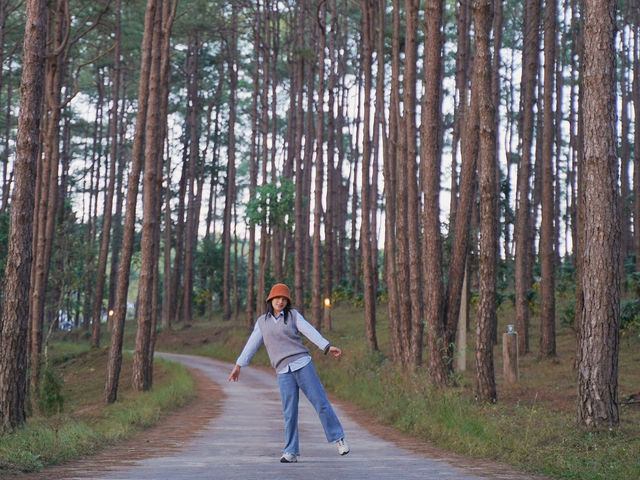 ลานกางเต็นท์กลางป่าสน “สวนป่าดอยบ่อหลวง”