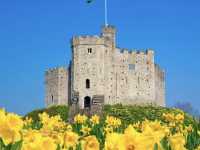Cardiff