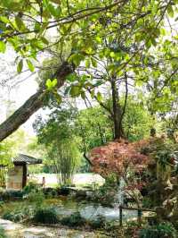 Fuxing Park: A Hidden Gem of Tranquility